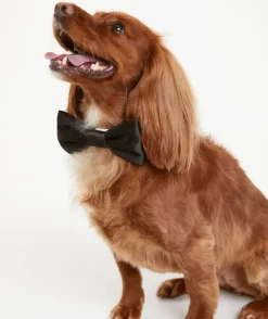 Sale Six Stories Dog Satin Bow Tie