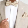 Best Six Stories Men's Satin Bow Tie