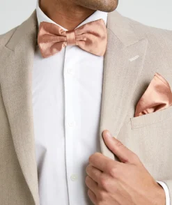 Best Six Stories Men's Satin Bow Tie