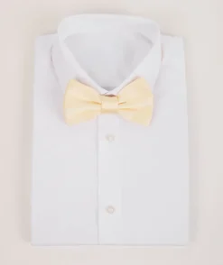 Best Six Stories Men's Satin Bow Tie