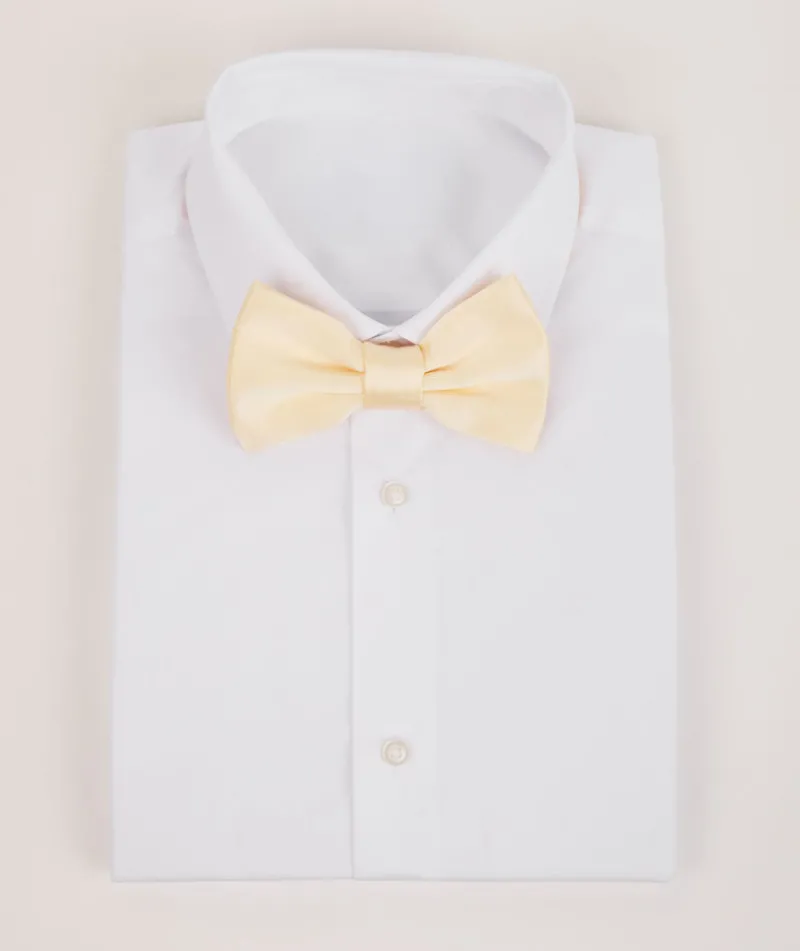 Best Six Stories Men's Satin Bow Tie