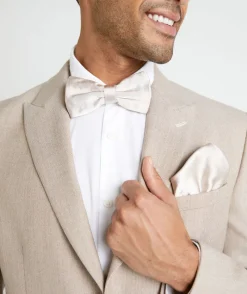 Best Six Stories Men's Satin Bow Tie